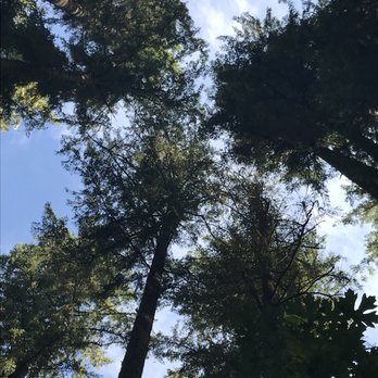Seaquest State Park - Hiking Near Me - Castle Rock, Washington