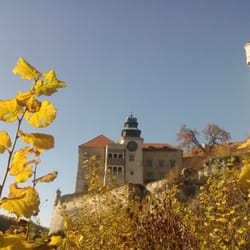Zamek Pieskowa Skała - widok na zamek ze ścieżki prowadzącej do Maczugi Herkulesa