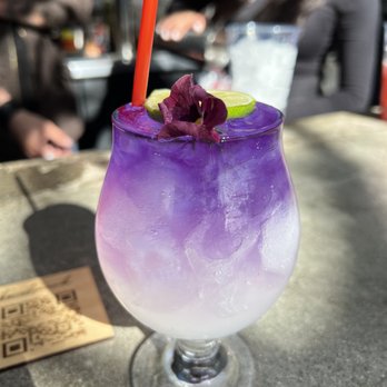 Benchmark - Butterfly Gimlet - New American Near Me - Santa Ana, California