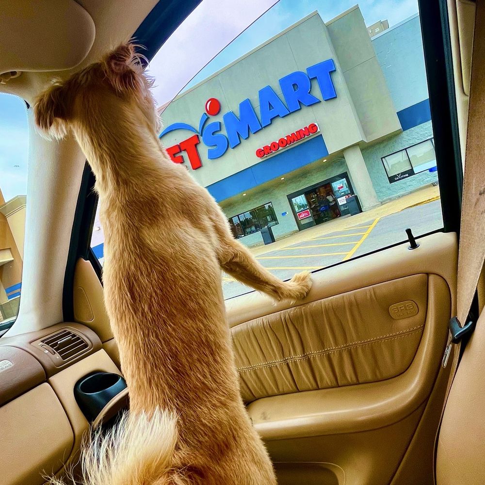 PetSmart - Pet Stores Near Me - Madison, Tennessee