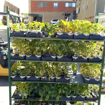 Sarasnick's Hardware - Garden plants at Sarasnick's Hardware . . . - Hardware Stores Near Me - Bridgeville, Pennsylvania