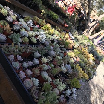Southwinds Farm & Gardens - Landscape Architects or Designers Near Me - Irvine, California