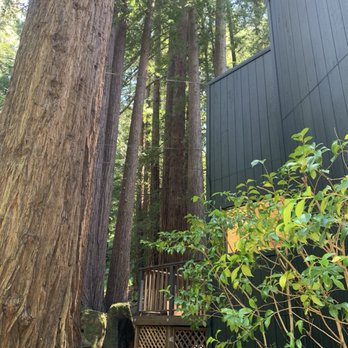 National Wildfire Prevention - Cleared for insurance approval! - Tree Services Near Me National Wildfire Prevention - Cleared for insurance approval! - Tree Services Near Me