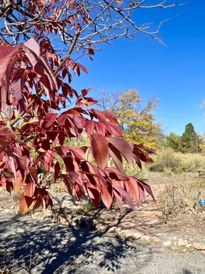 Chatfield State Park Campground by null