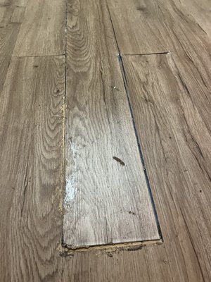 ADU Water Fire Mold Storm Logo