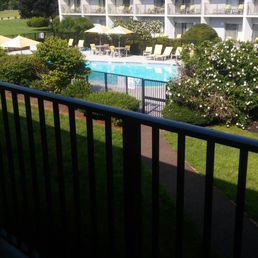 Patio pool view