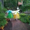 Cackleberries Garden & Gift Shop gift card