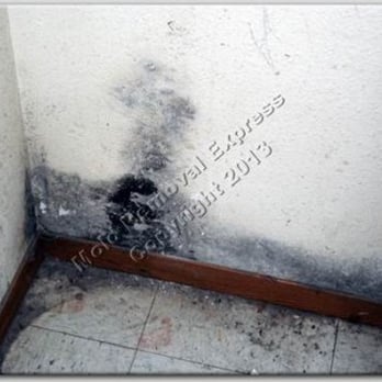 Mold Removal Express - Damage Restoration Near Me - Boulder, Colorado