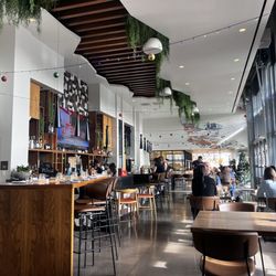 Alter Ego Tempe - Indoor area