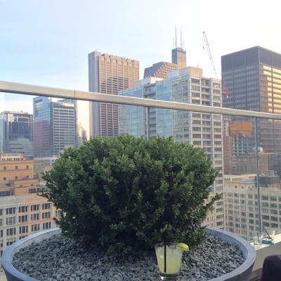 Cerise Rooftop by null