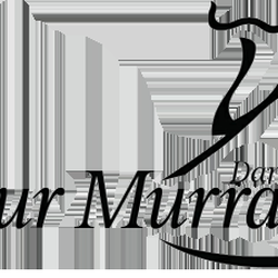 Arthur Murray Dance Studio - Arthur Murray Logo