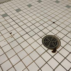 Whispering Pines Assisted Living - Human fecal matter left to dry and rot in the shower rooms for elderly residents to bathe with.