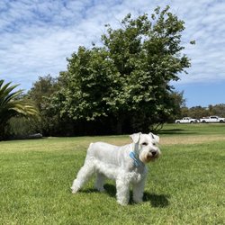 Oceano County Park