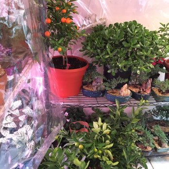 ManhattanFlorist.com - Florists Near Me - New York, New York