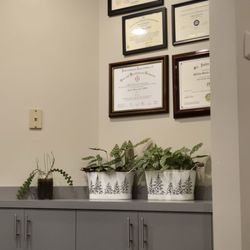 Chen Phillip M, DDS