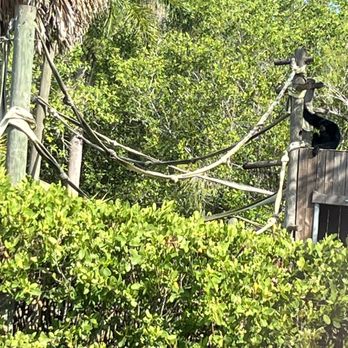 Naples Zoo - Zoos Near Me - Naples, Florida