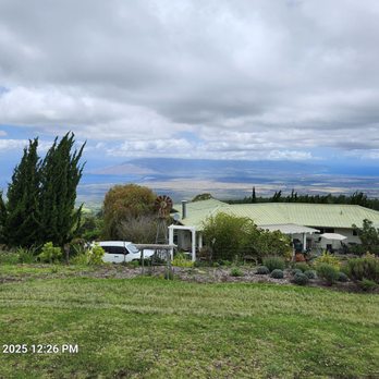 Ali'i Kula Lavender - Tours Near Me - Kula, Hawaii