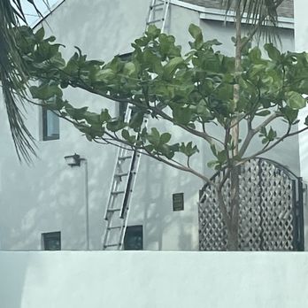 Dunns Josephine Hotel - Hotels Near Me - Miami, Florida