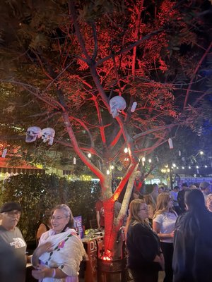 Hotel Congress by null