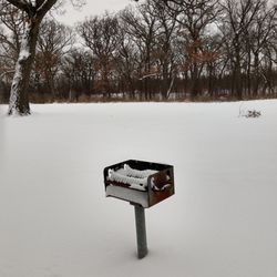 Veteran's Woods