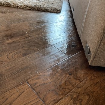 Safe-Dry Carpet Cleaning - Madison - Wet solution I have to mop up myself - Carpet Cleaning Near Me - Madison, Alabama Safe-Dry Carpet Cleaning - Madison - Wet solution I have to mop up myself - Carpet Cleaning Near Me - Madison, Alabama