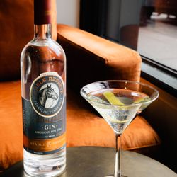 Stable Reserve Gin | American Still Pot | Martini Cocktail