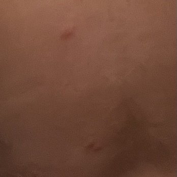 Valli-Hi Motel - A few bites from the bed bugs! - Hotels Near Me - San Ysidro, California Valli-Hi Motel - A few bites from the bed bugs! - Hotels Near Me - San Ysidro, California
