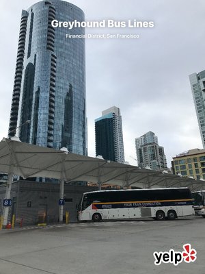 Greyhound Shop by null