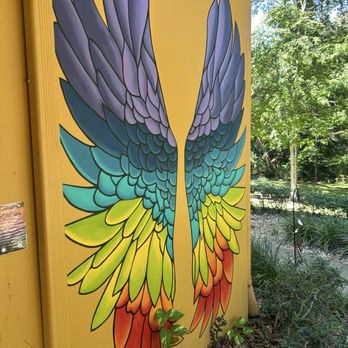 Honey Bee Cafe - Coffee & Tea Near Me - Gainesville, Florida