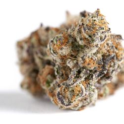 Budzilla 25 Cap