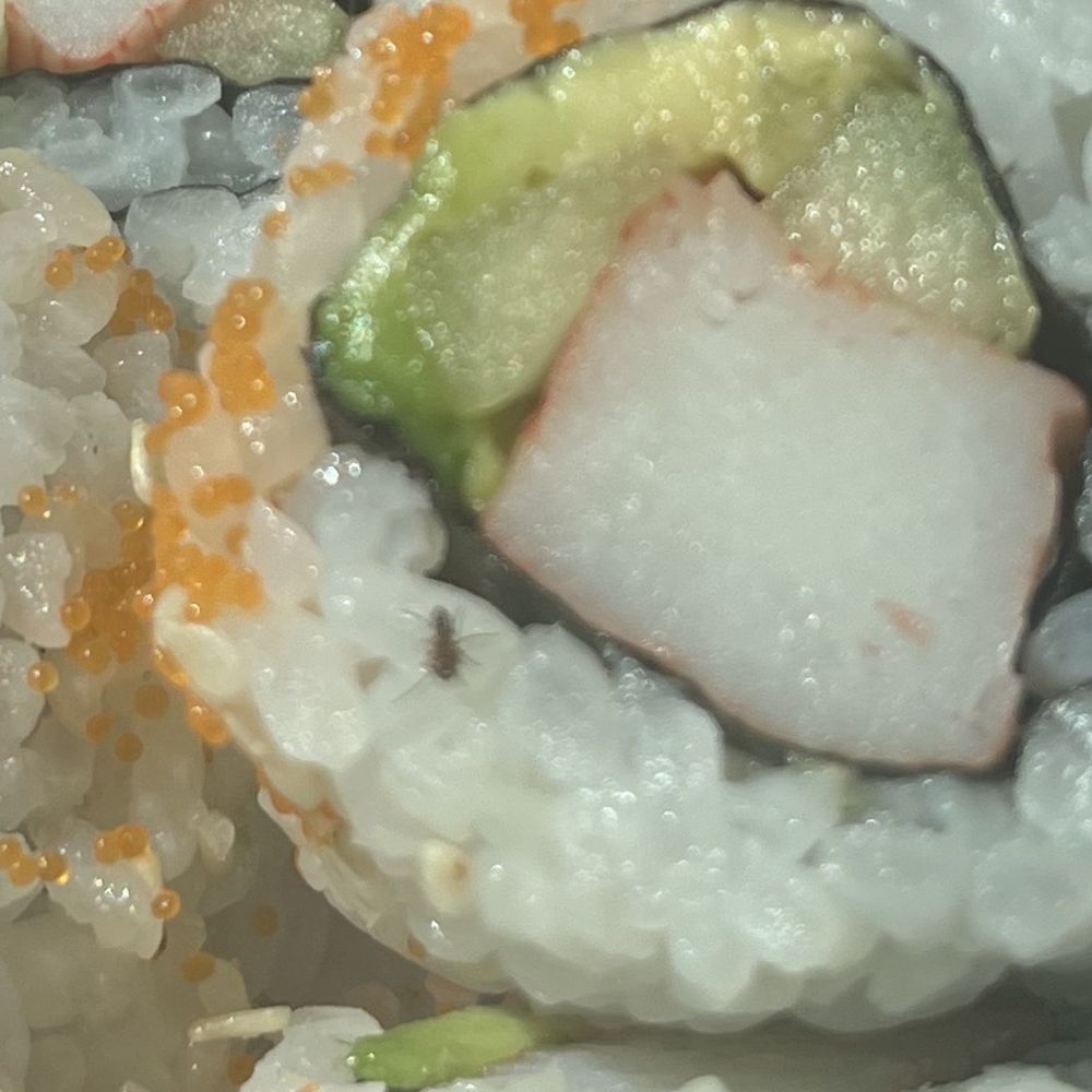 Paradise Cafe - a plate of sushi rolls - Sushi Bars Near Me - Mont Belvieu, Texas
