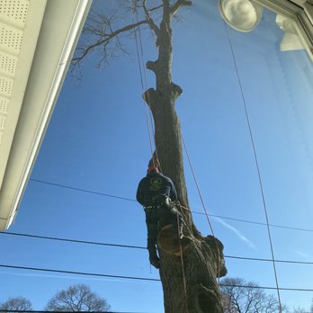 Palmer Tree Service - Tree Services Near Me - Framingham, Massachusetts