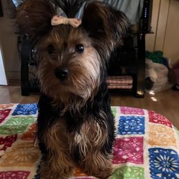 Coco