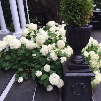 Villa 120 - Bed & Breakfast Near Me - Middletown, Rhode Island
