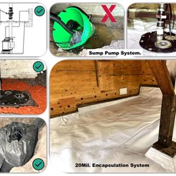 Under The House Moisture Specialist