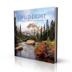 Authorsupport - Wild Light