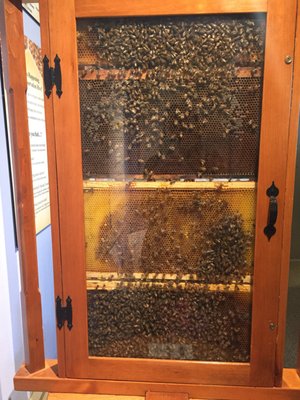 Cape Cod Museum Of Natural History by null