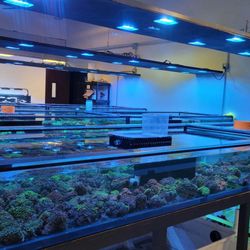 Aqua Plus Aquarium