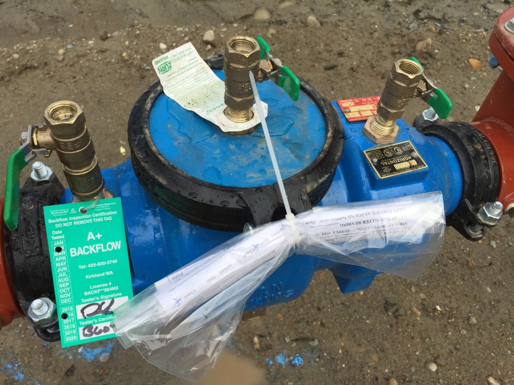 Slide of A+ Backflow