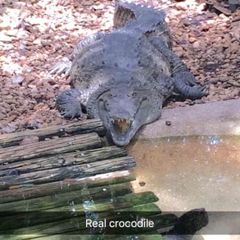 Busch Wildlife Sanctuary - Zoos Near Me - Jupiter, Florida