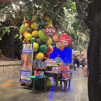 Rainforest Cafe - American Near Me - Ontario, California Rainforest Cafe - American Near Me - Ontario, California