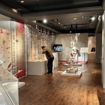 Real Bodies - Museums Near Me - Las Vegas, Nevada Real Bodies - Museums Near Me - Las Vegas, Nevada