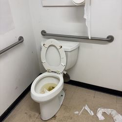 Dollar Tree
