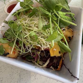 Auckland Zoo - Local Flavor Near Me - Auckland, AUK