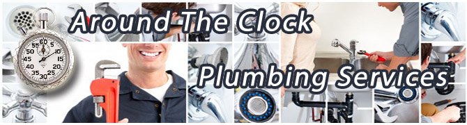 Slide of Professional Service