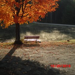 Robin Hood Park