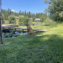 Blue Lake RV Resort - At the lake with the doggy
