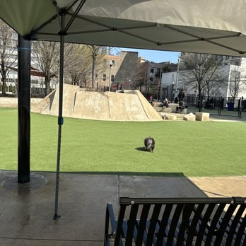 Fred Anderson Park - Dog Parks Near Me - Chicago, Illinois