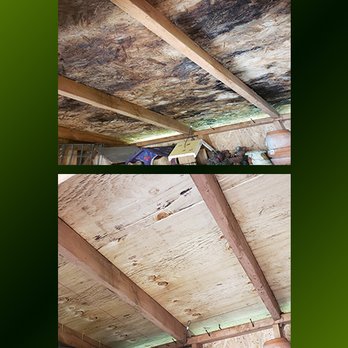 Moss Patrol - Roofing Near Me - Everett, Washington Moss Patrol - Roofing Near Me - Everett, Washington