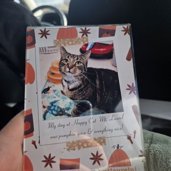 Happy Cat Hotel & Spa - A sweet photo magnet left in a goody-bag with our cat's belongings. - Pet Boarding Near Me - Mount Laurel Township, New Jersey Happy Cat Hotel & Spa - A sweet photo magnet left in a goody-bag with our cat's belongings. - Pet Boarding Near Me - Mount Laurel Township, New Jersey